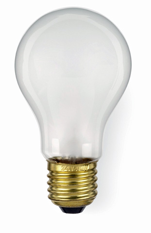 E27 55x95 12V 40W FROSTED