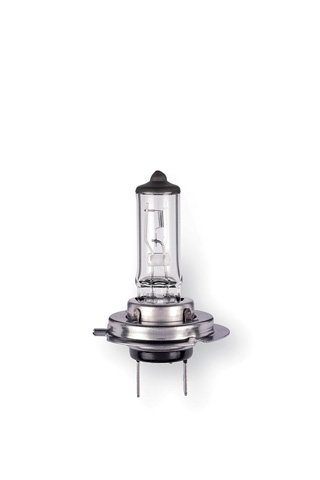 H7 Px26D 12V  55W
