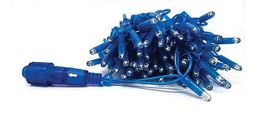 STR TRASP 24V 120BLU FLASH