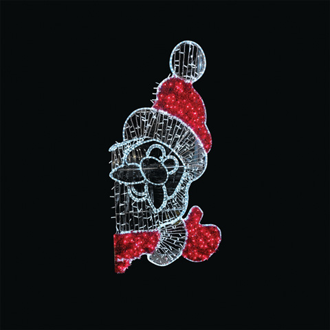 SANTA2D
