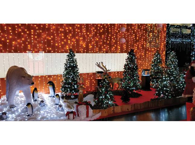Tende SmartLED 144 LED