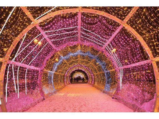 Stringa colorata PVC 10m 24V