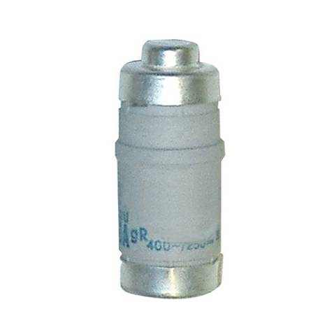 D02-GR 50A FUSIBILI NEOD