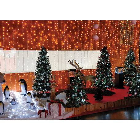 TENDA 144LED BIANCO CONN